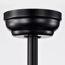 20" Farmhouse Downrod Mount Fandelier Ceiling Fan with Lighting and Remote Control