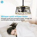 20" Farmhouse Downrod Mount Fandelier Ceiling Fan with Lighting and Remote Control