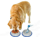 Set of 2 Etched Stainless Steel Dog Bowls with Blue Silicone Base