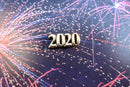 Year Gold Lapel Pin