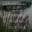 Lavender and Eucalyptus Tinted Glass Jar Reed Diffuser