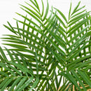 3' Areca Silk Palm Tree