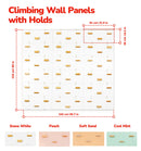 Rock Climbing Wall