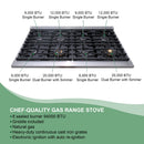 48" Slide-in Freestanding Professional Style Gas Range with 6.7 Cu. Ft. Oven, 8 Burners