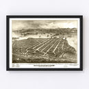 Vintage Map of San Diego, California 1880