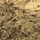 Vintage Map of San Francisco, California 1875