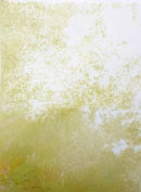 Sunlit Canopy Designer Printed AIDA Fabric. Canvas for embroidery with an applied background  KF-1133A