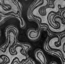 20Oct2012v.2 - Open Edition Canvas Print