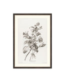 Floral Drawing II