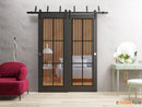 Lucia 2366 Matte Black Barn Door Slab with Clear Glass