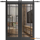 Lucia 2266 Matte Black Double Barn Door with Clear Glass and Black Rail