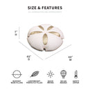Sand Dollar