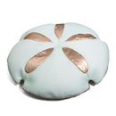 Sand Dollar