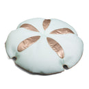 Sand Dollar