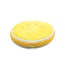 Fruit Slice Large