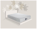 Sterling Latex and Memory Foam Mattress