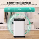 24 Pints Dehumidifier D4212B