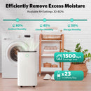 24 Pints Dehumidifier D4212B