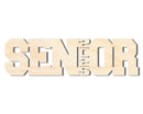 Unfinished Wood 2025 Senior Shape | DIY Craft Cutout | up to 46" DIY