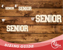 Unfinished Wood 2025 Senior Shape | DIY Craft Cutout | up to 46" DIY