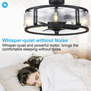 25" Modern DC Motor Downrod Mount Reversible Fandelier Ceiling Fan with Lighting and Remote Control