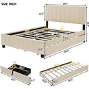 Queen Size Velvet Upholstered Platform Bed with 2 Drawers and 1 Twin XL Trundle- Beige