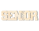 Unfinished Wood 2026 Senior Shape | DIY Craft Cutout | up to 46" DIY
