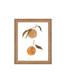 Oranges II