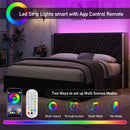 Full Size Modern Upholstered LED Bed Frame with Storage Drawers, Velvet Platform Bed with Wingback Headboard, RGB Light, Wooden Slats Support, No Box Spring Needed, Black