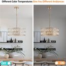 Modern Crystal Drum Chandelier, 6-Light Pendant Lighting Fixture with Golden Metal Frame for Living Room, Dining Room, and Bedroom (Bulbs Not Included)