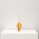 Motion Sensor Battery Light