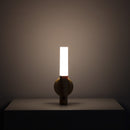Motion Sensor Battery Light