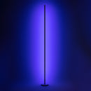 Léger RGB Floor Lamp
