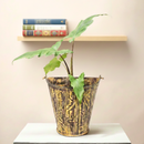 Farmhouse Style Distressed Half Metal Bucket Repurposed Unique Wall Planter