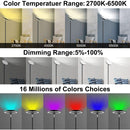 RGB LED Floor Lamp With Remote Dual Side Lighting 2600 Lumens