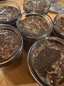 Infused Honey