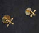 Unlacquered Brass Shower With Curved Arm