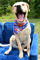 Love Graffiti Blue Dog Bandana