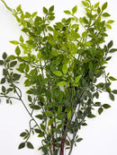 Artificial Italian Ruscus Stems - Bundle of 4