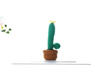 Cactus Amigurumi Crochet Kit by Wizardi F07N8-M18