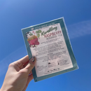 Rambling Raspberry Decaffeinated Tea | 2 Half Gallon Bags | Tea n More