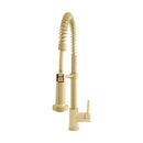 ZLINE Apollo Kitchen Faucet, APL-KF-PG