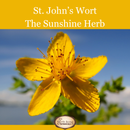 Joyful Journey Herbal Tincture: A Mood Support Supplement to Promote a Positive Out Look* with St. John's Wort, Hawthorn and Lemon Balm 1 oz.