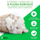 Kapok Fiber Fill Stuffing - Organic