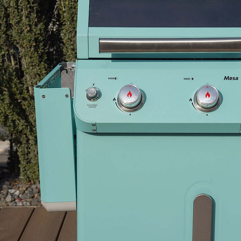 Mesa 200 | Matte Color Propane Gas Grill