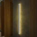 Immense Outdoor Lamp