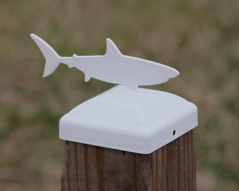 6X6 Shark Post Cap (5.5 x 5.5 Post Size)