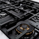 ZLINE 36" Select Gas Range Convection Gas Oven DuraSnow® Stainless Steel Black Matte Door HGRS-BLM-36