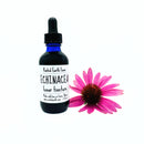 Echinacea Tincture