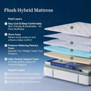 Queen 12 Inch Orthopedic Support Memory Foam Mattress